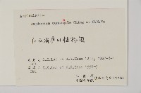 相似鐵角蕨藏品圖，第5張