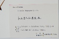 紫萁藏品圖，第2張