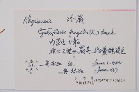 冷蕨藏品圖，第1張