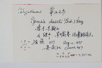 華北石葦藏品圖，第2張