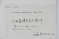 多鱗瓦葦藏品圖，第1張