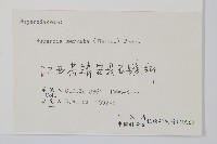 蛇足石杉、千層塔藏品圖，第2張