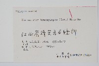 波氏星蕨藏品圖，第2張