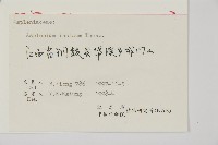 縮羽鐵角蕨藏品圖，第2張