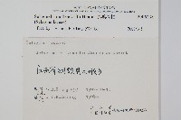 異葉卷柏藏品圖，第2張