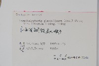 登錄號:P006239藏品圖，第1張