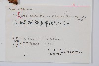 登錄號:P006245藏品圖，第2張