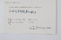 太平鱗毛蕨藏品圖，第2張