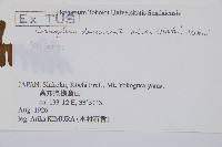 貞蕨藏品圖，第5張