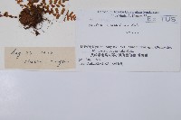 登錄號:P006252藏品圖，第2張