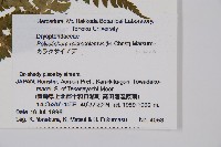 登錄號:P006263藏品圖，第2張