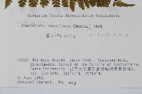 登錄號:P006264藏品圖，第2張