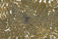 登錄號:P006264藏品圖，第4張