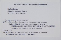 雙扇蕨藏品圖，第2張