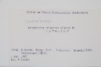 三叉耳蕨藏品圖，第2張