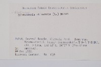 烏蕨藏品圖，第2張