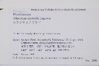 坡生蹄蓋蕨藏品圖，第2張