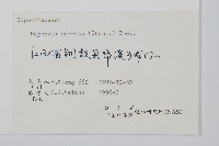 蛇足石杉、千層塔藏品圖，第2張