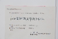 馬祖耳蕨藏品圖，第2張