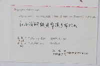 奇數鱗毛蕨藏品圖，第2張