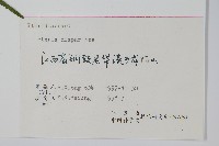 天草鳳尾蕨藏品圖，第2張