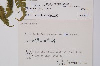 登錄號:P006313藏品圖，第2張