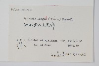 石葦藏品圖，第2張