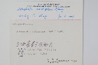 疏葉卷柏藏品圖，第2張