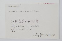 蛇足石杉、千層塔藏品圖，第2張