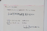 林下凸軸蕨藏品圖，第2張