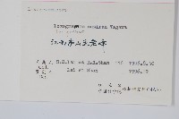 褐柄劍蕨藏品圖，第2張