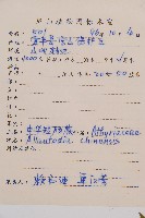 闊葉短腸蕨藏品圖，第5張