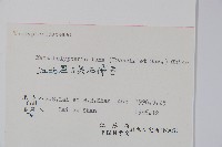 柔葉凸軸蕨藏品圖，第2張