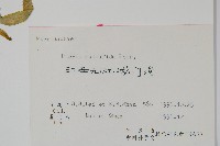 鳳尾蕨藏品圖，第2張