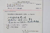 南海鱗毛蕨藏品圖，第2張