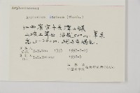 縮羽鐵角蕨藏品圖，第5張