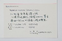 蛇足石杉、千層塔藏品圖，第2張