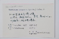 邊緣鱗蓋蕨藏品圖，第2張