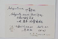 中華卷柏藏品圖，第2張