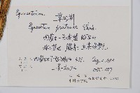 草問荊藏品圖，第2張