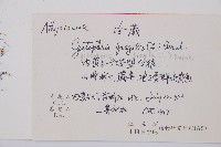 冷蕨藏品圖，第2張