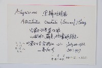 黑鱗短腸蕨藏品圖，第2張