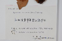 盧山石葦藏品圖，第2張