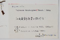 瓦葦藏品圖，第2張