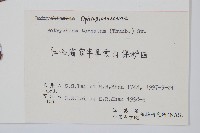 大陰地蕨、大羽陰地蕨藏品圖，第2張