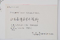 單葉雙蓋蕨藏品圖，第2張