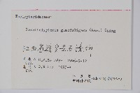 密腺副金星蕨藏品圖，第2張