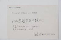 三翅鐵角蕨藏品圖，第2張