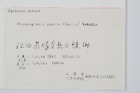 芒萁藏品圖，第2張