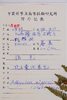 日本蹄蓋蕨藏品圖，第2張